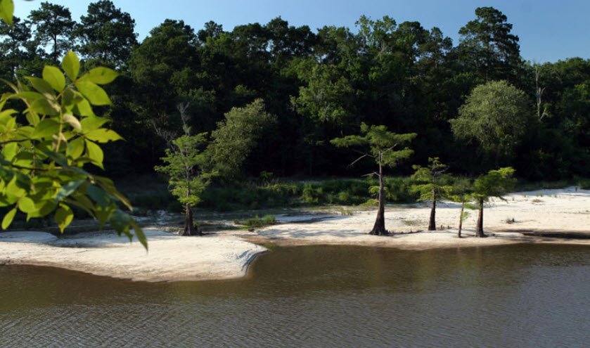 Village Creek State Park, Texas, USA